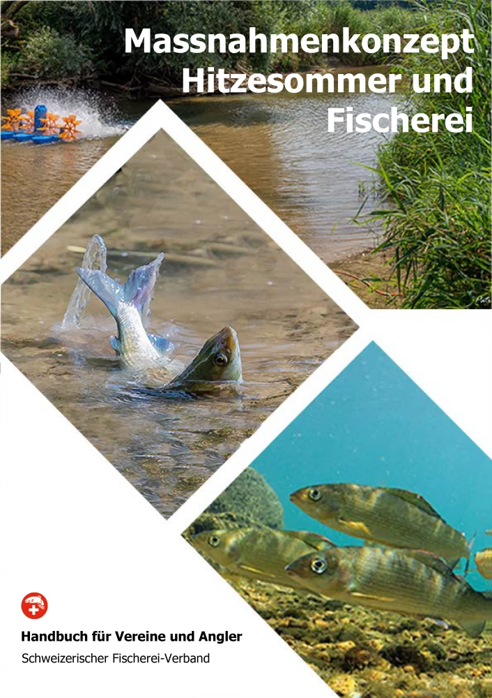FISCHER AUFGEPASST - DIE TEMPERATUREN STEIGEN!