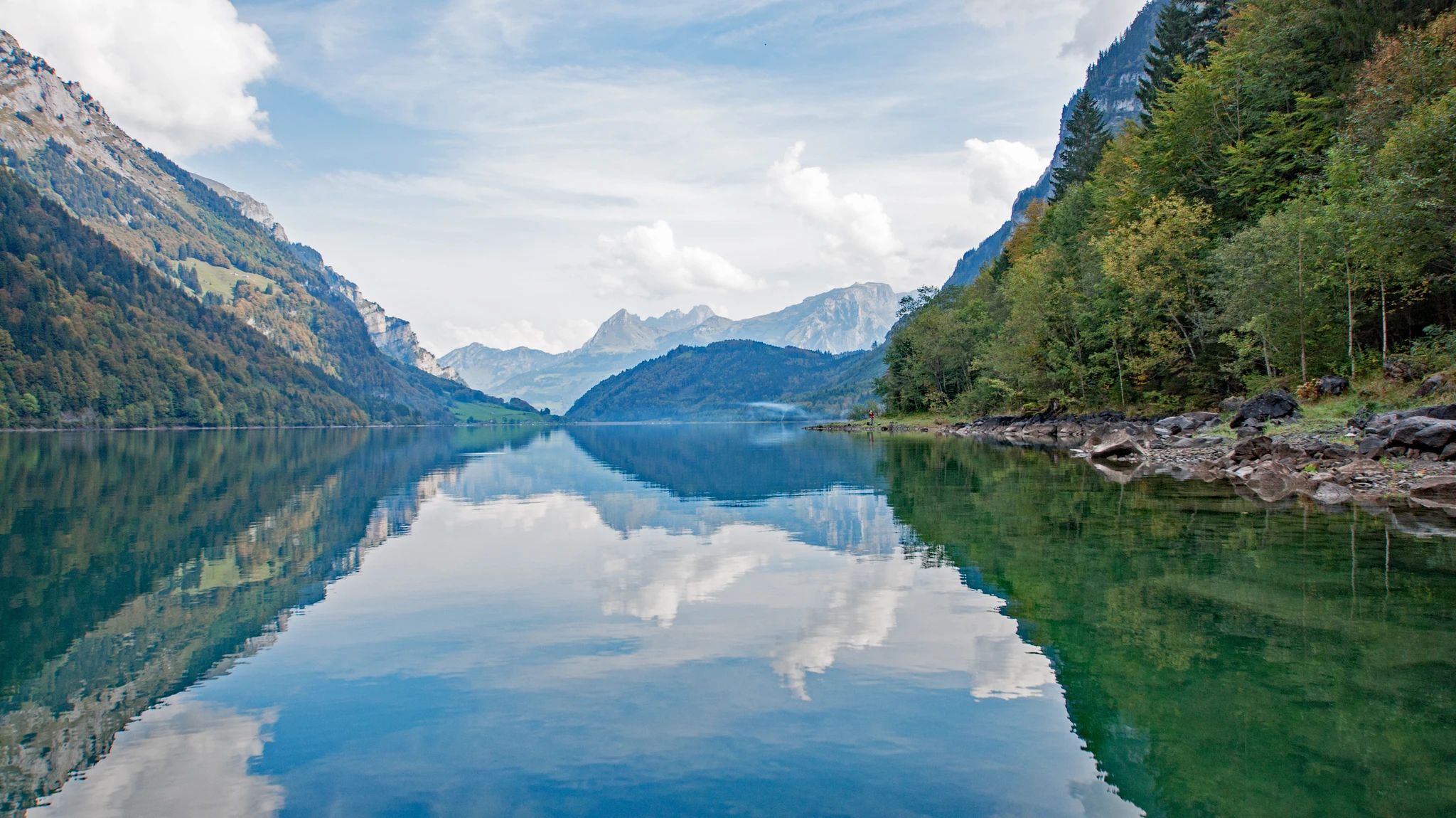 Hervorgehobenes Bild